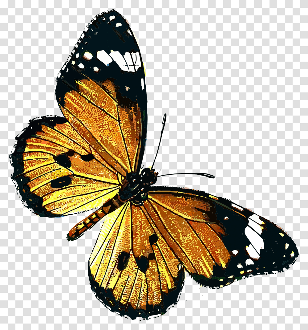 Danaus Chrysippus Clip Art Public Domain Vintage Butterfly, Insect, Invertebrate, Animal, Monarch Transparent Png