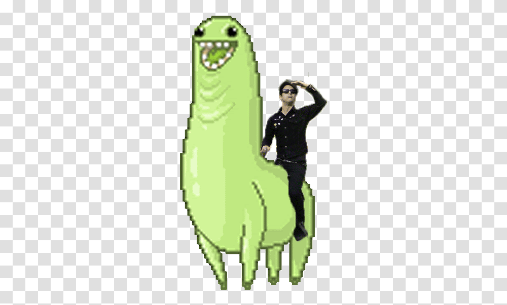 Dance Gif Meme Funnypictures Green Llama, Person, Sunglasses, Sleeve Transparent Png