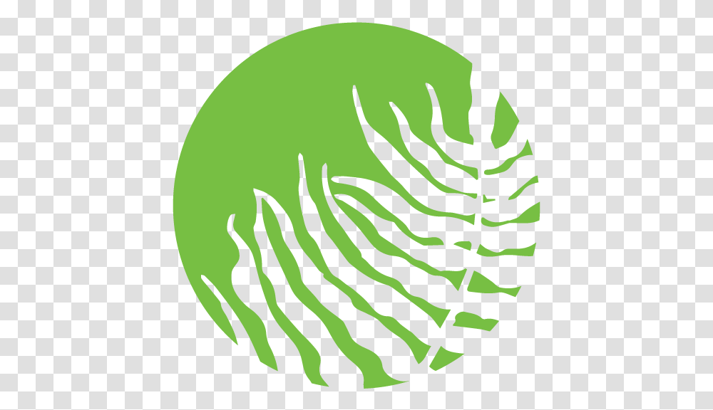 Dance Icon, Plant, Fern Transparent Png