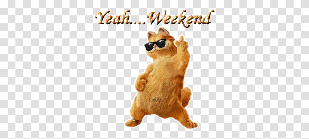 Dancing Cat Weekend Animated Picture Weekend Gif Animated, Mammal, Animal, Wildlife, Sunglasses Transparent Png