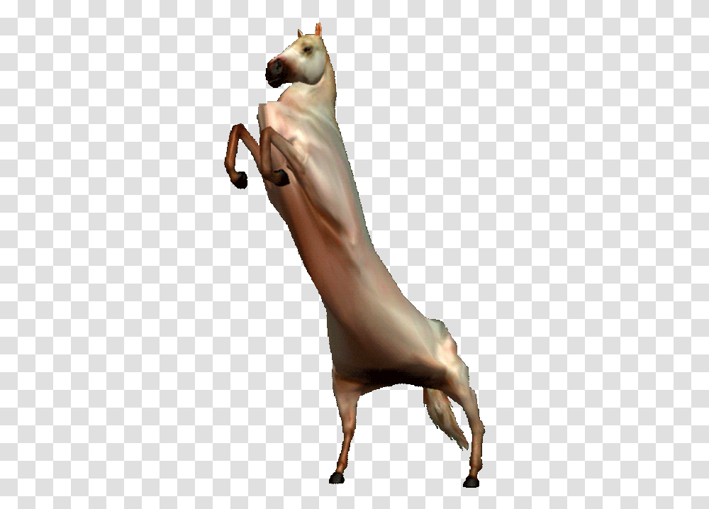 Dancing Dog Meme Gif Pics Animal Figure, Clothing, Apparel, Person, Human Transparent Png