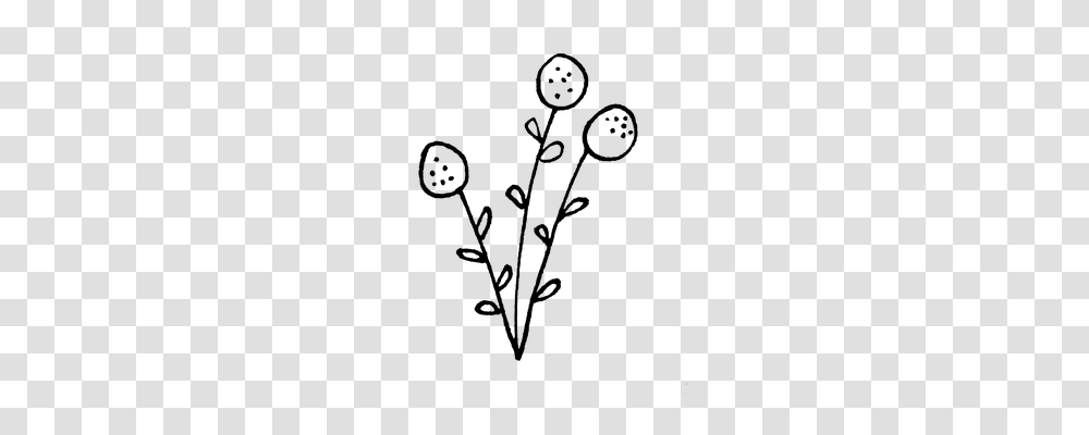 Dandelion Nature, Gray, World Of Warcraft Transparent Png