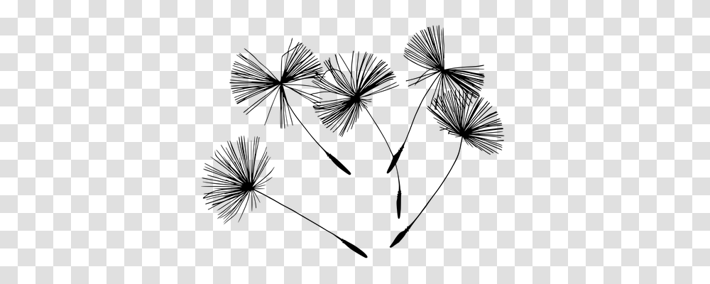 Dandelion Nature, Gray, World Of Warcraft Transparent Png