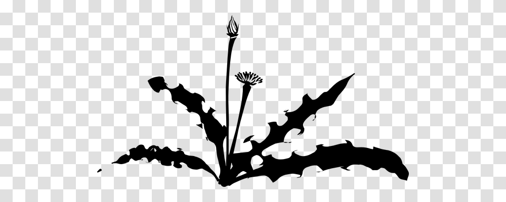 Dandelion Nature, Gray, World Of Warcraft Transparent Png