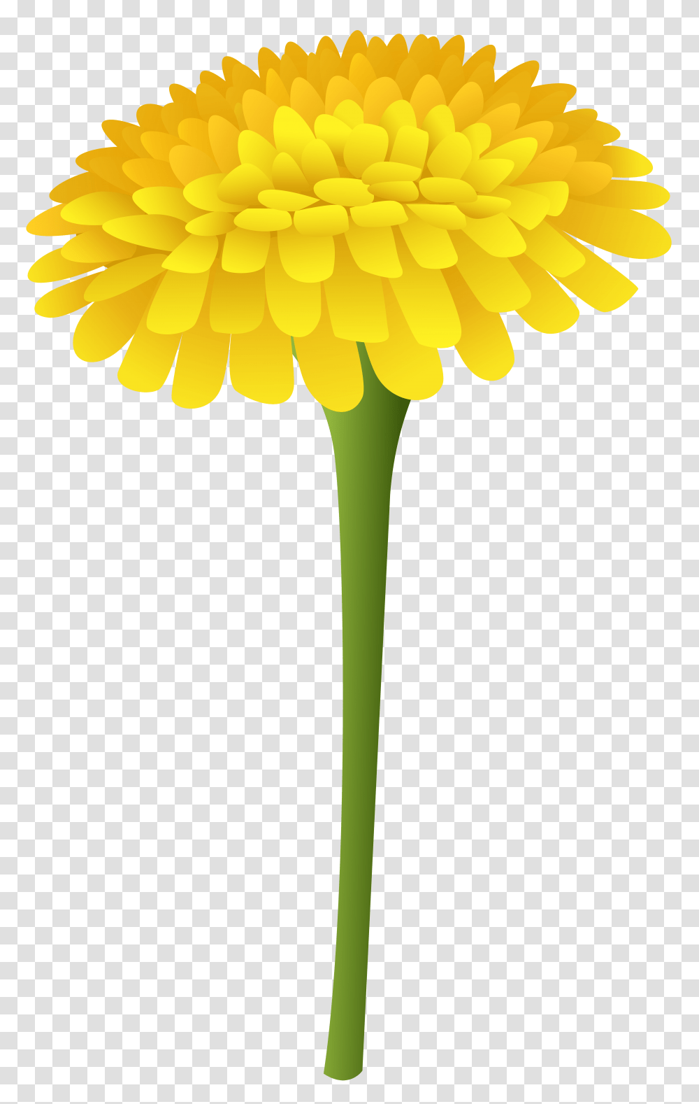 Dandelion Clip Art, Plant, Flower, Blossom, Daffodil Transparent Png