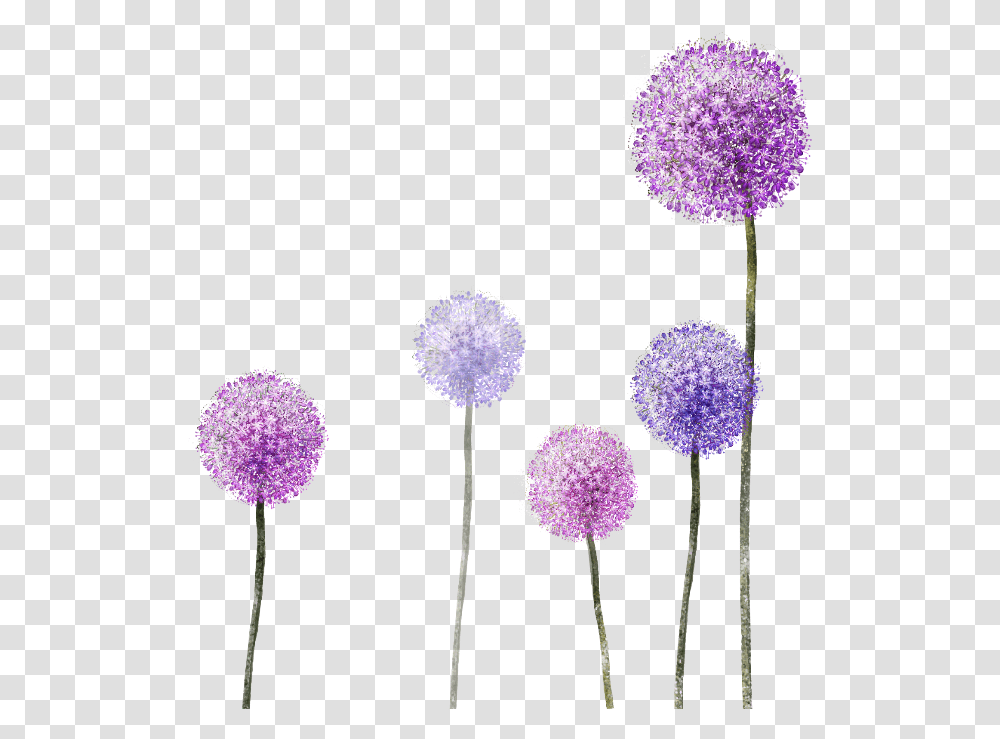 Dandelion Clipart Purple Purple Dandelion Background, Plant, Flower, Blossom, Allium Transparent Png