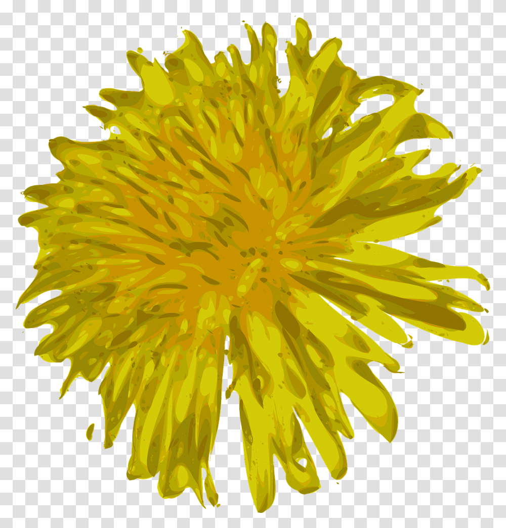 Dandelion Flower Beautiful Free Vector Graphic On Pixabay Clip Art, Plant, Blossom Transparent Png