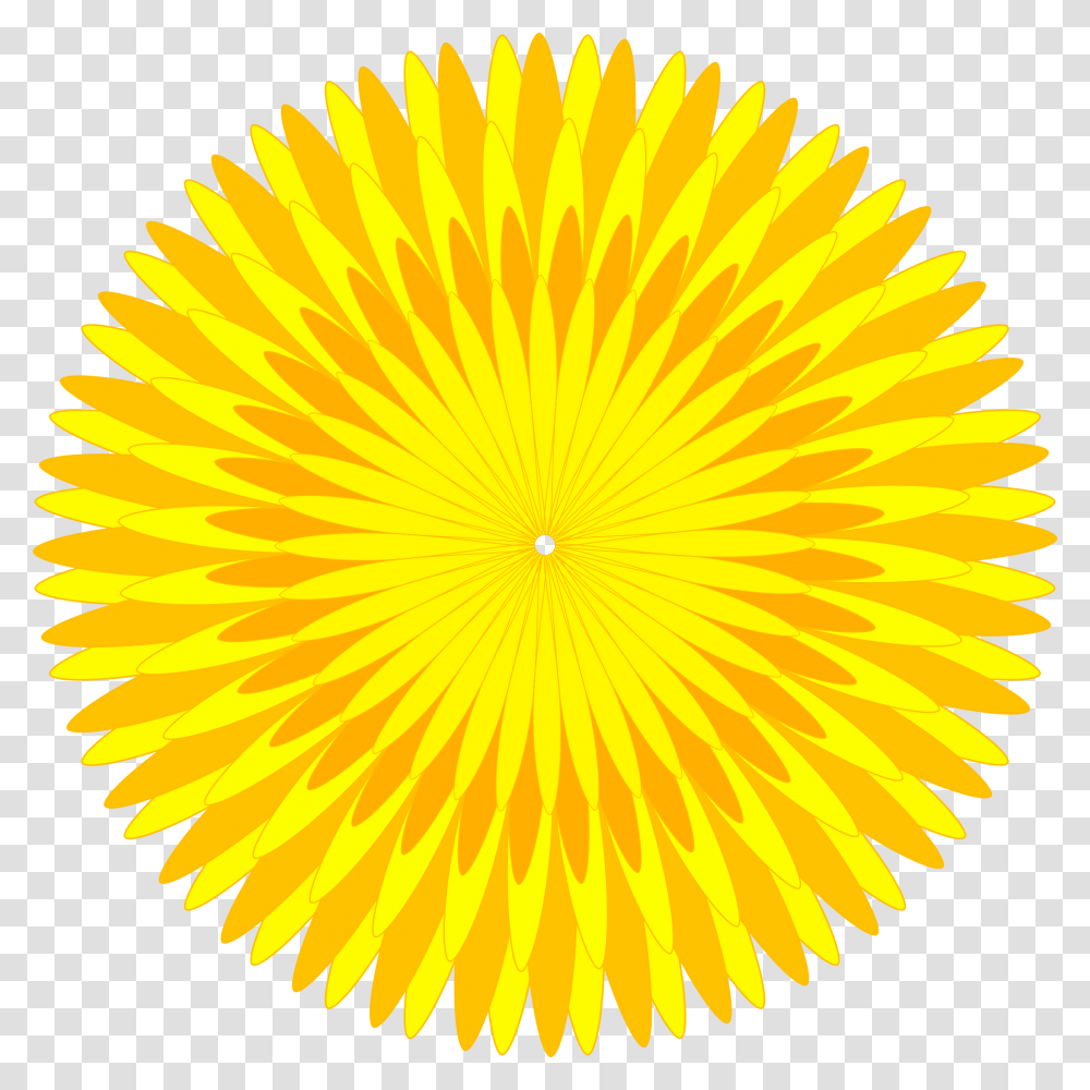 Dandelion, Flower, Ornament, Pattern, Plant Transparent Png