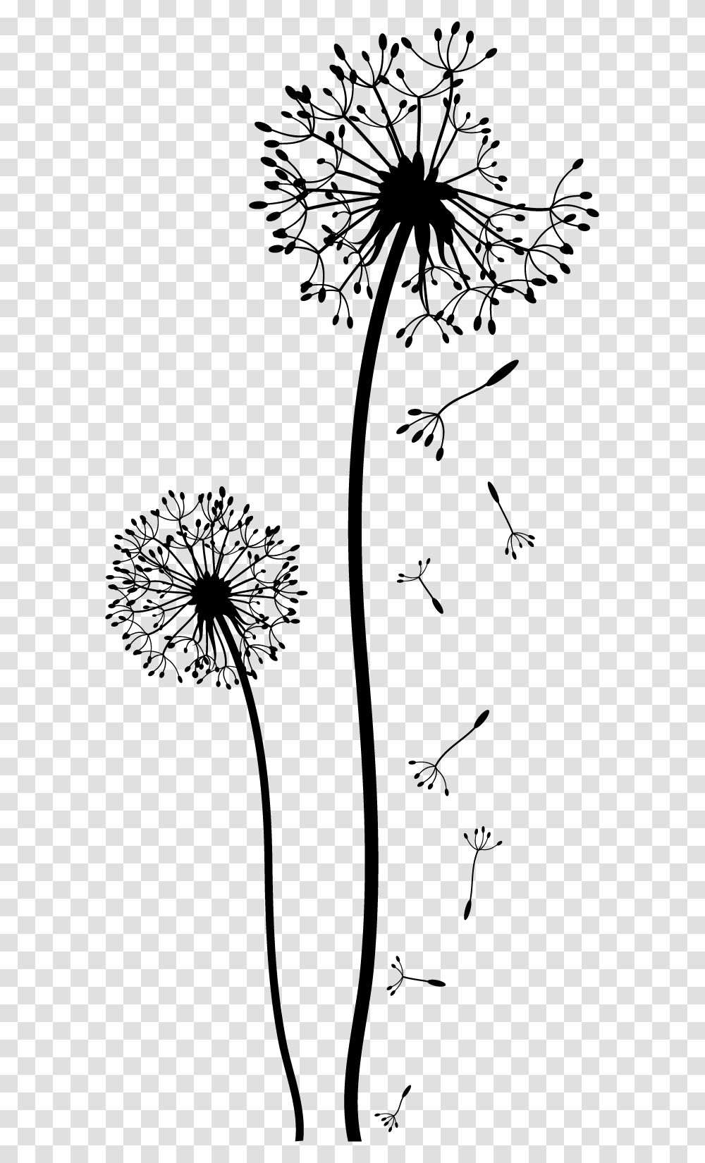 Dandelion Free Download Black And White Flower Drawing, Plant, Blossom, Bird, Animal Transparent Png