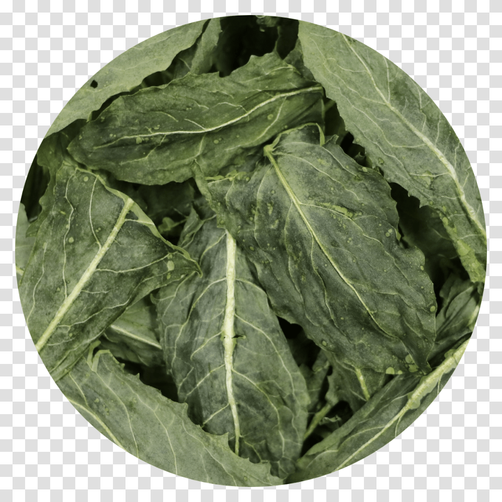 Dandelion Greens Collard Greens, Plant, Spinach, Vegetable, Food Transparent Png