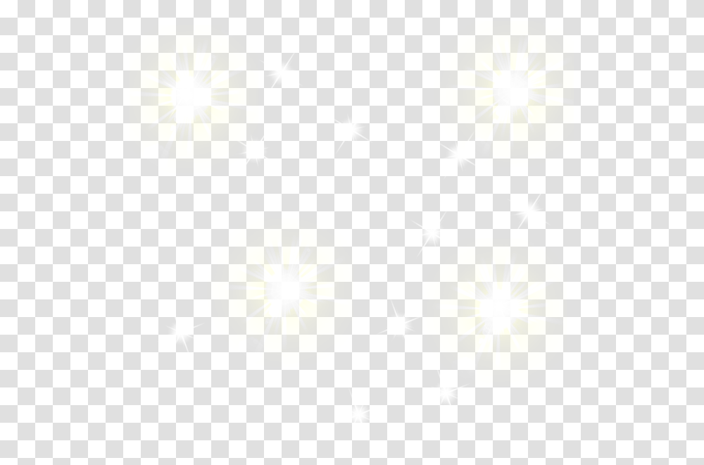 Dandelion, Lighting, Plant Transparent Png