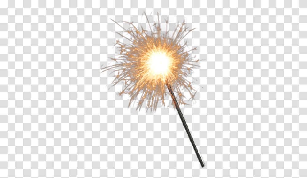 Dandelion, Nature, Outdoors, Flare, Light Transparent Png