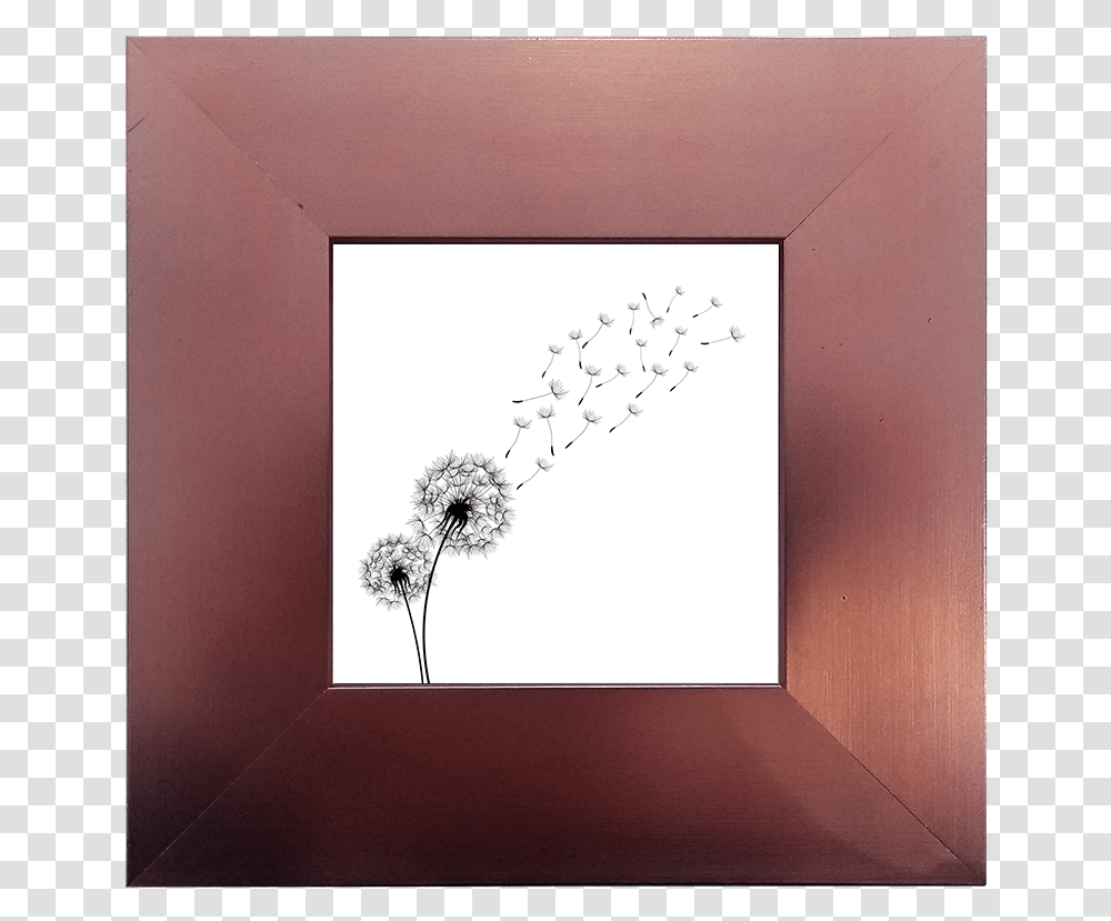 Dandelion, Plant, Flower, Blossom Transparent Png