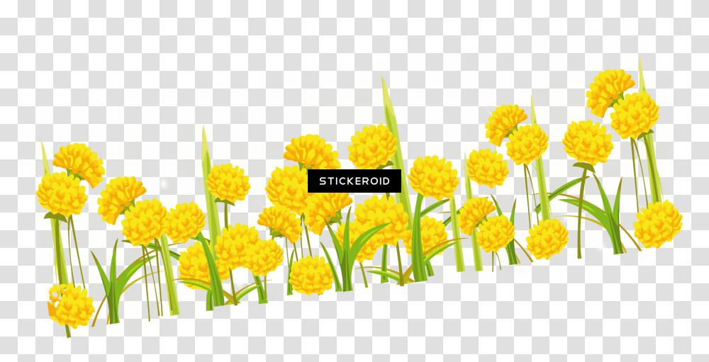 Dandelion, Plant, Flower Transparent Png