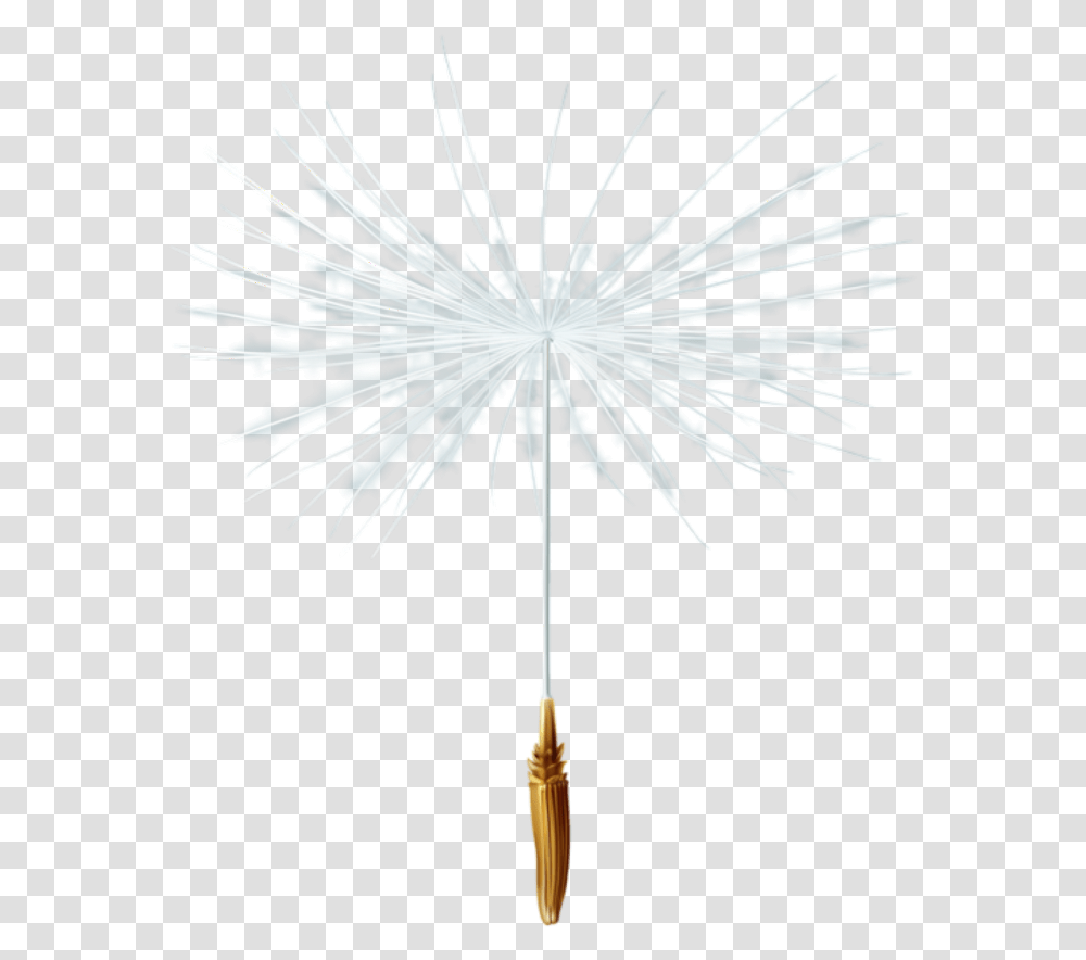 Dandelion Seed Freetoedit White Pine, Nature, Outdoors, Fireworks, Night Transparent Png