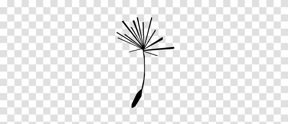 Dandelion Seed Silhouette, Lighting, Sport, Night, Outdoors Transparent Png