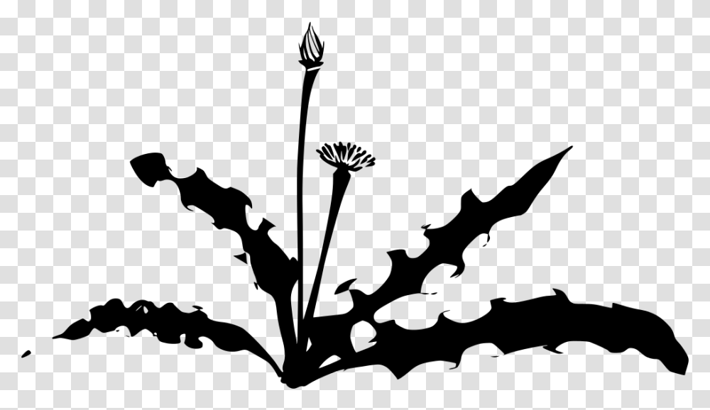 Dandelion Silhouette, Gray, World Of Warcraft Transparent Png