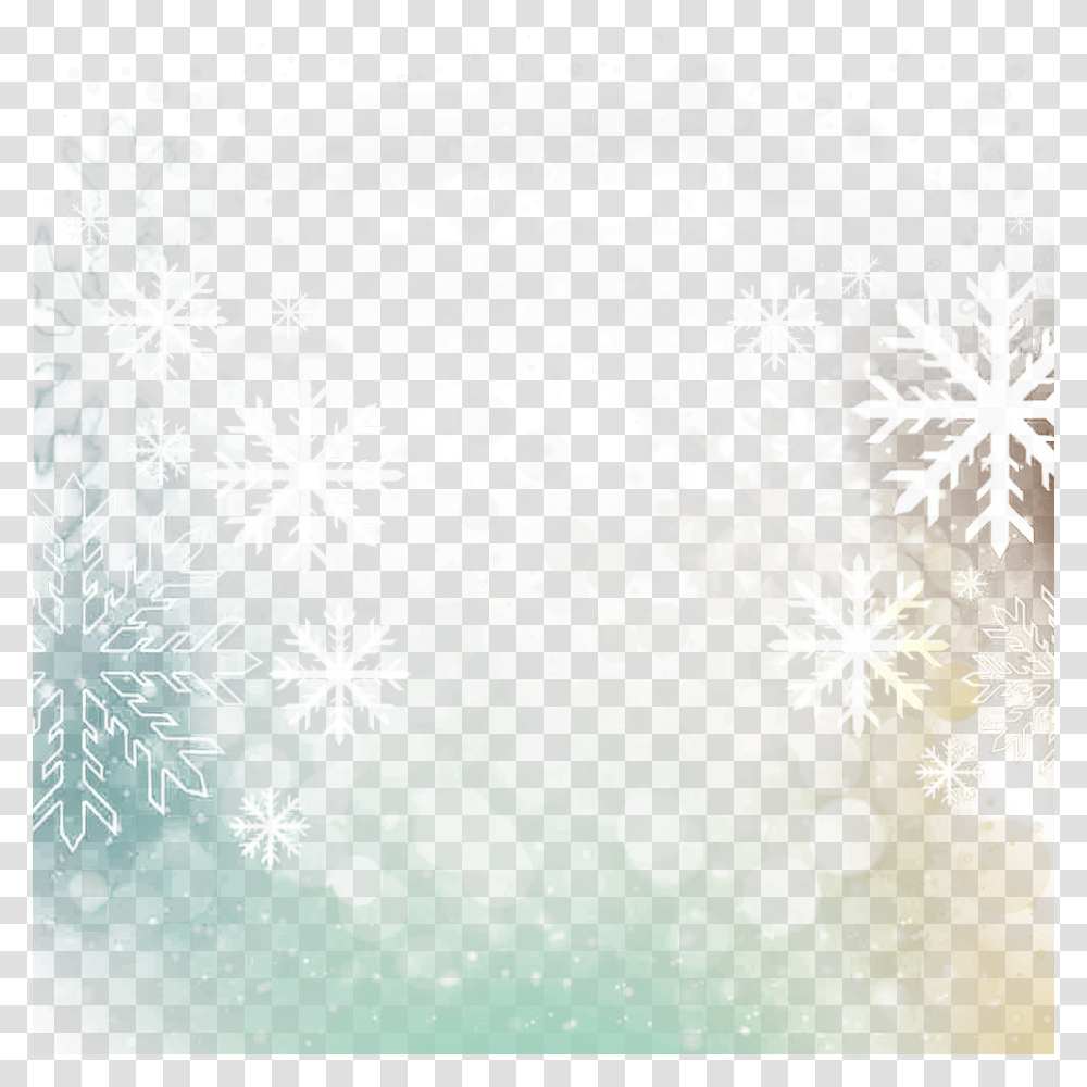 Dandelion, Snowflake, Rug, Light, Tree Transparent Png