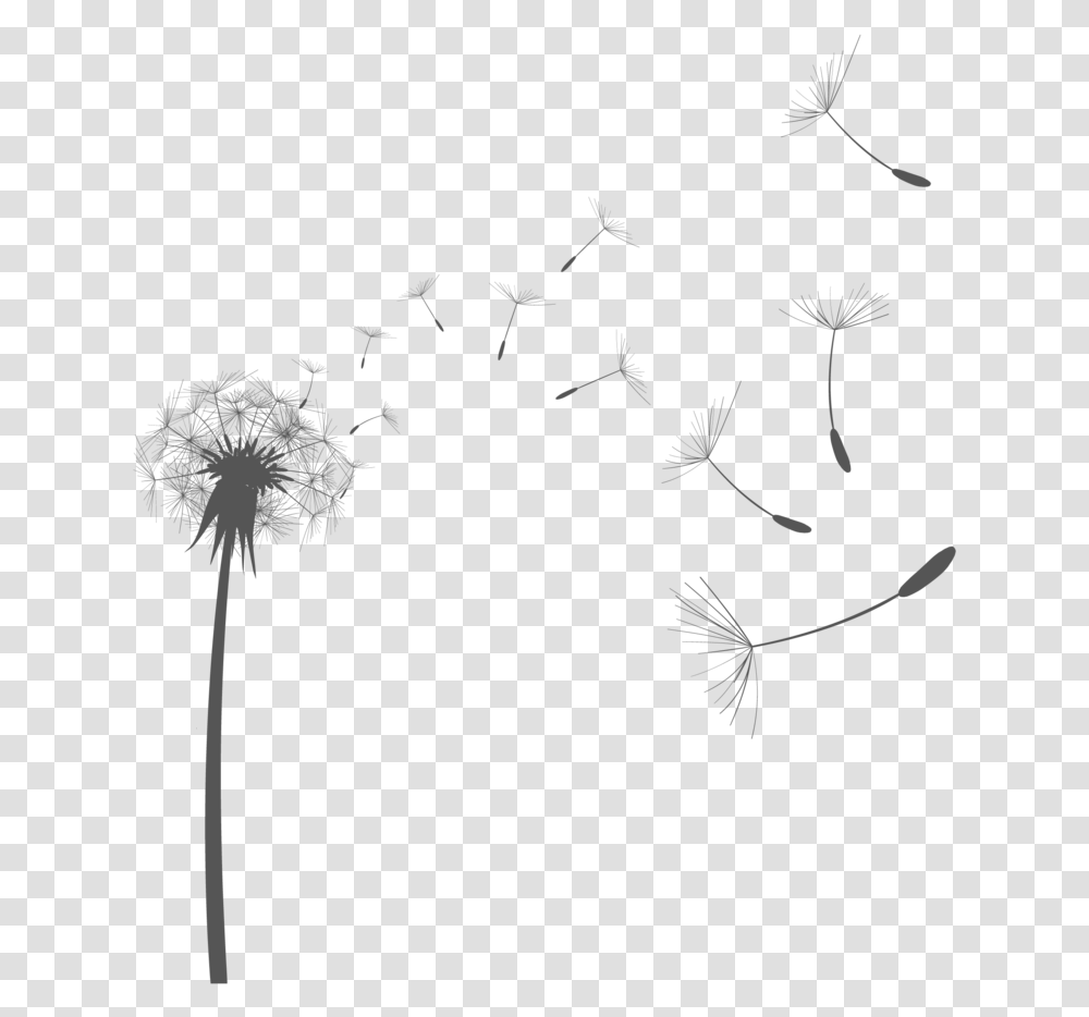 Dandelion Vector, Plant, Flower, Blossom Transparent Png