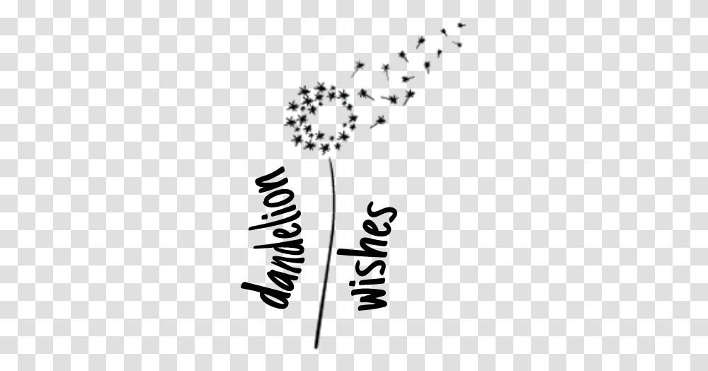 Dandelion Watermark Watermarklogo Calligraphy, Plant, Flower, Blossom, Petal Transparent Png