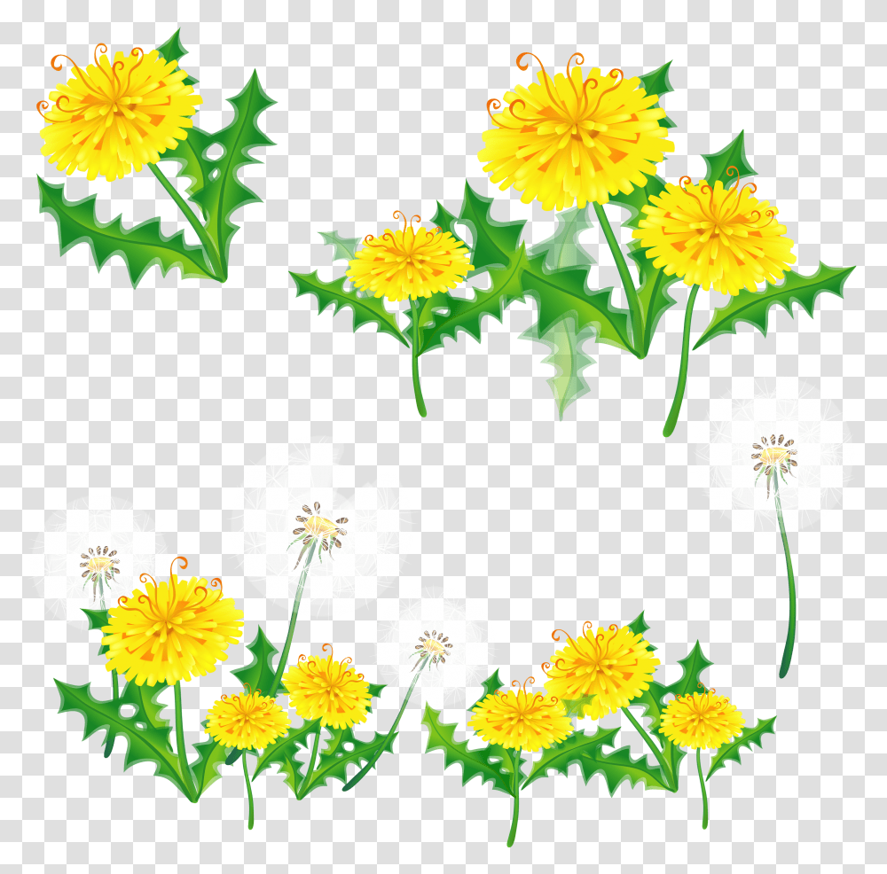 Dandelions Floral Border Yellow, Plant, Flower, Daisy, Petal Transparent Png