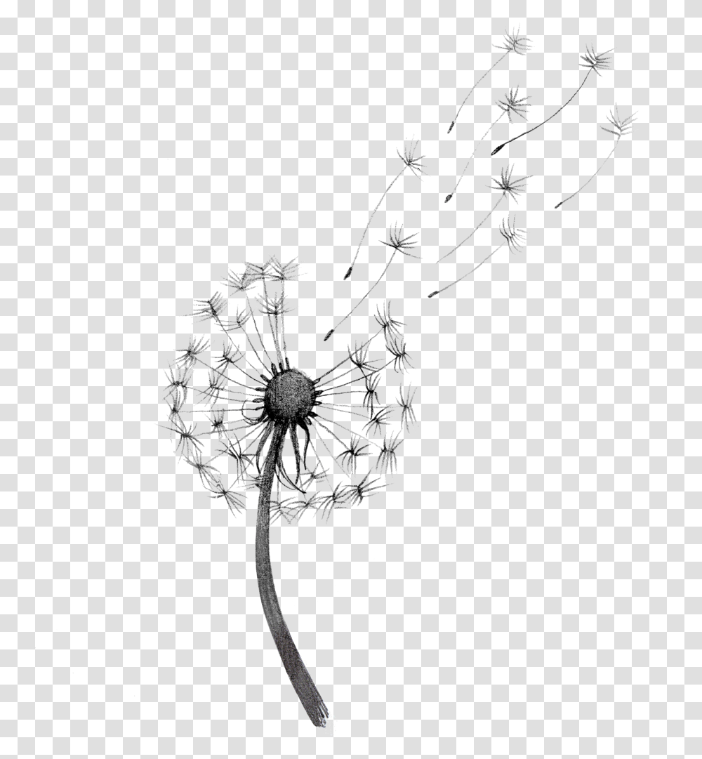 Dandelions Sunflower Black And White, Floral Design, Pattern Transparent Png