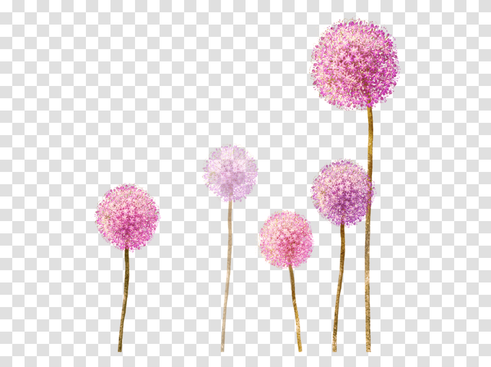 Dandelionwildflowers Spring Pink Flowers Dandelion Drawing With Color, Plant, Blossom, Purple, Thistle Transparent Png