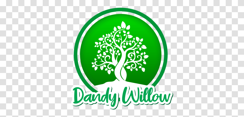 Dandy Willow Illustration, Plant Transparent Png