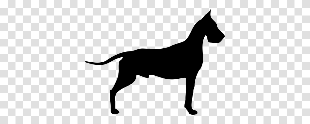 Dane Animals, Gray, World Of Warcraft Transparent Png