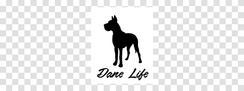 Dane Life, Silhouette, Horse, Mammal, Animal Transparent Png