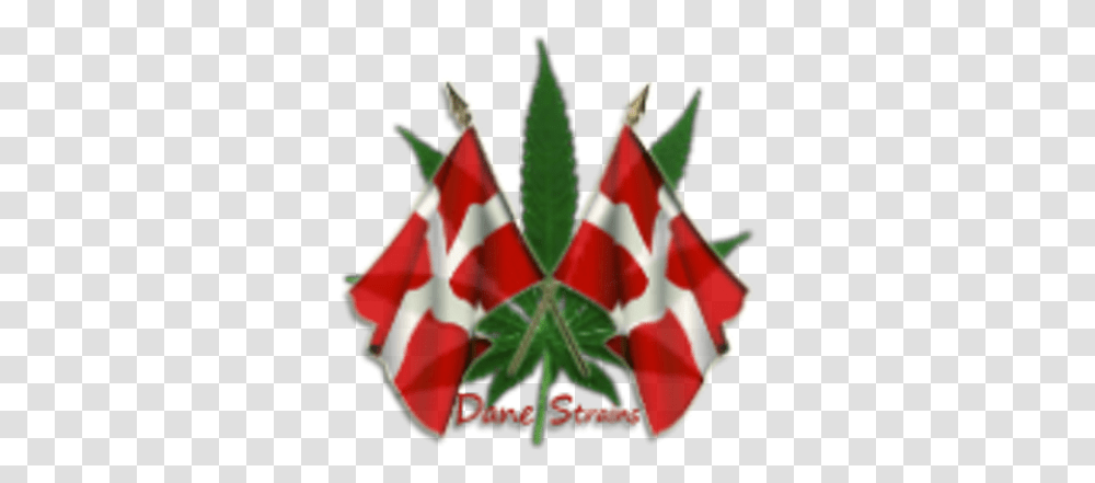 Dane Strains Danestrains Twitter 25 Rs Jubilum, Symbol, Flag, Star Symbol, Plant Transparent Png