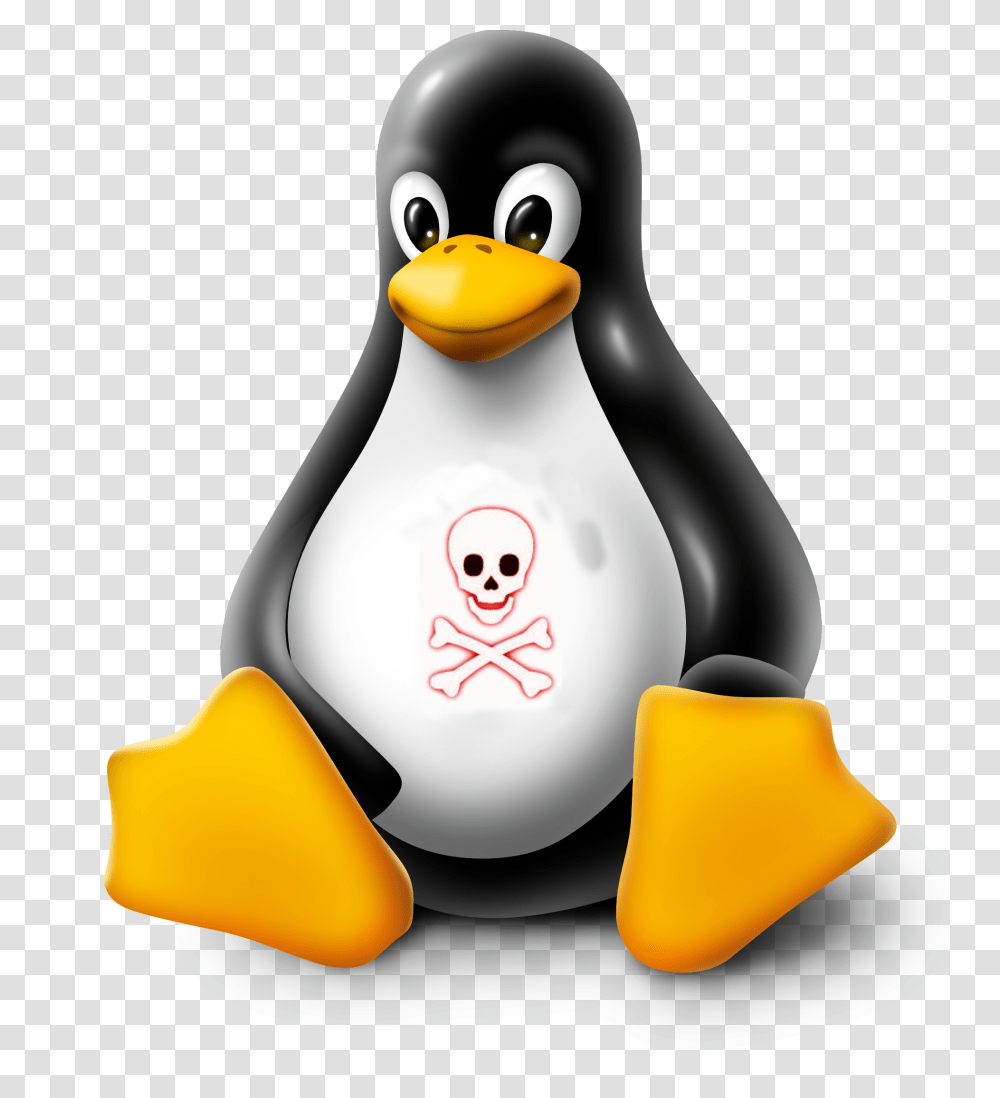 Dangerous Things We Should Not Do In Linux, Penguin, Bird, Animal, Snowman Transparent Png