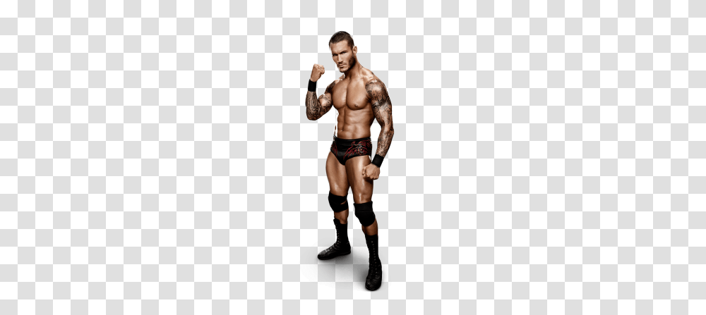 Daniel Bryan Vs Orton Set For Raw Wrestlingtec, Arm, Skin, Person Transparent Png