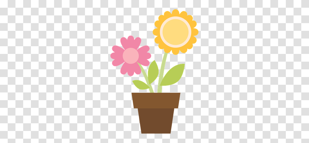 Danielle M, Plant, Flower, Blossom, Daisy Transparent Png