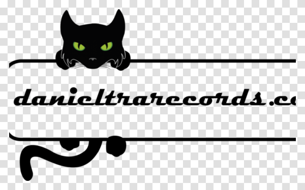 Danieltrarecords Black Cat, Pet, Mammal, Animal Transparent Png