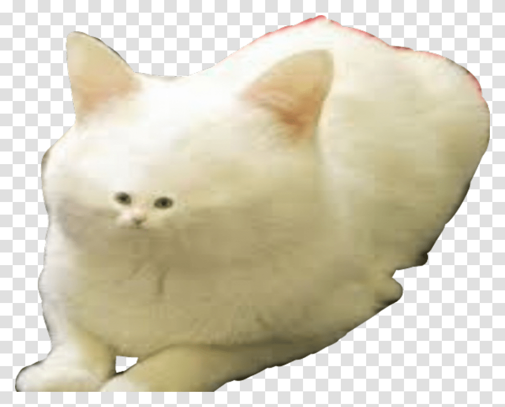 Dank Memes Meme White Fur Cat Worm On A String, Angora, Pet, Mammal, Animal Transparent Png