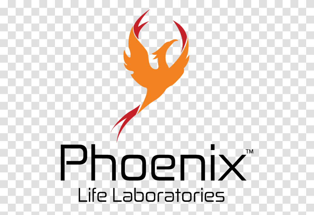 Danny Starr Art Phoenix Logo, Plot Transparent Png