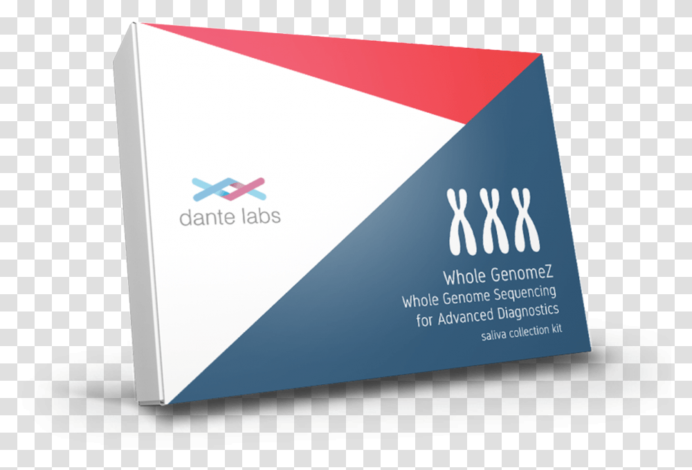 Dante, Business Card, Paper Transparent Png