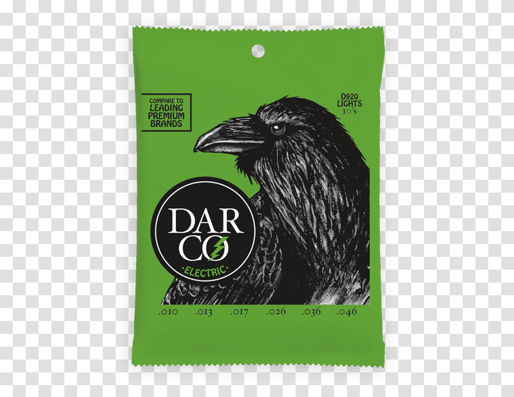 Darco Strings, Bird, Animal, Poster, Advertisement Transparent Png