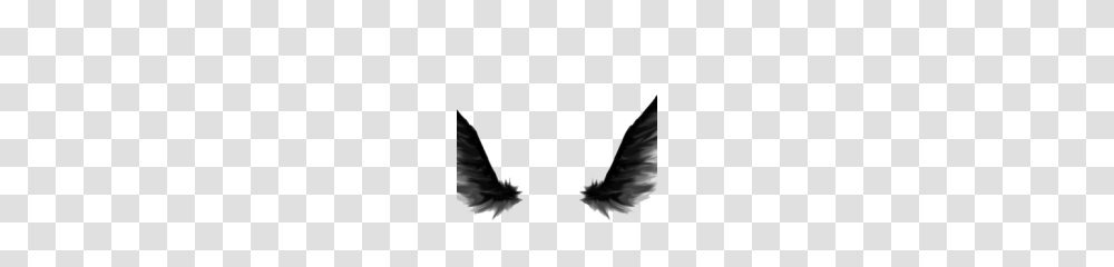 Dark Angel Clipart, Eagle, Bird, Animal, Flying Transparent Png
