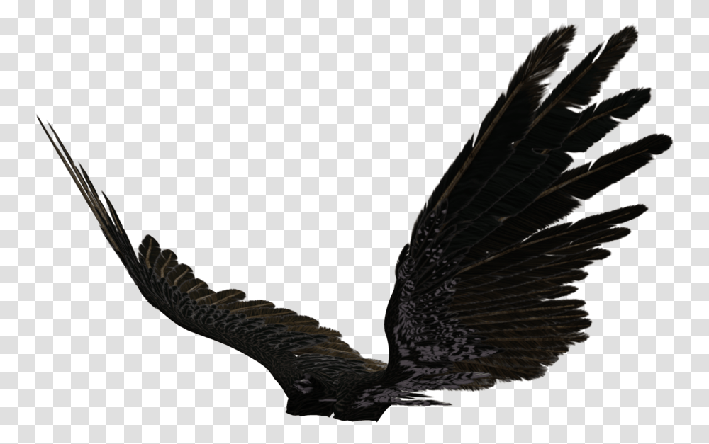 Dark Angel Wings Angel Wings Black, Bird, Animal, Snake, Reptile Transparent Png