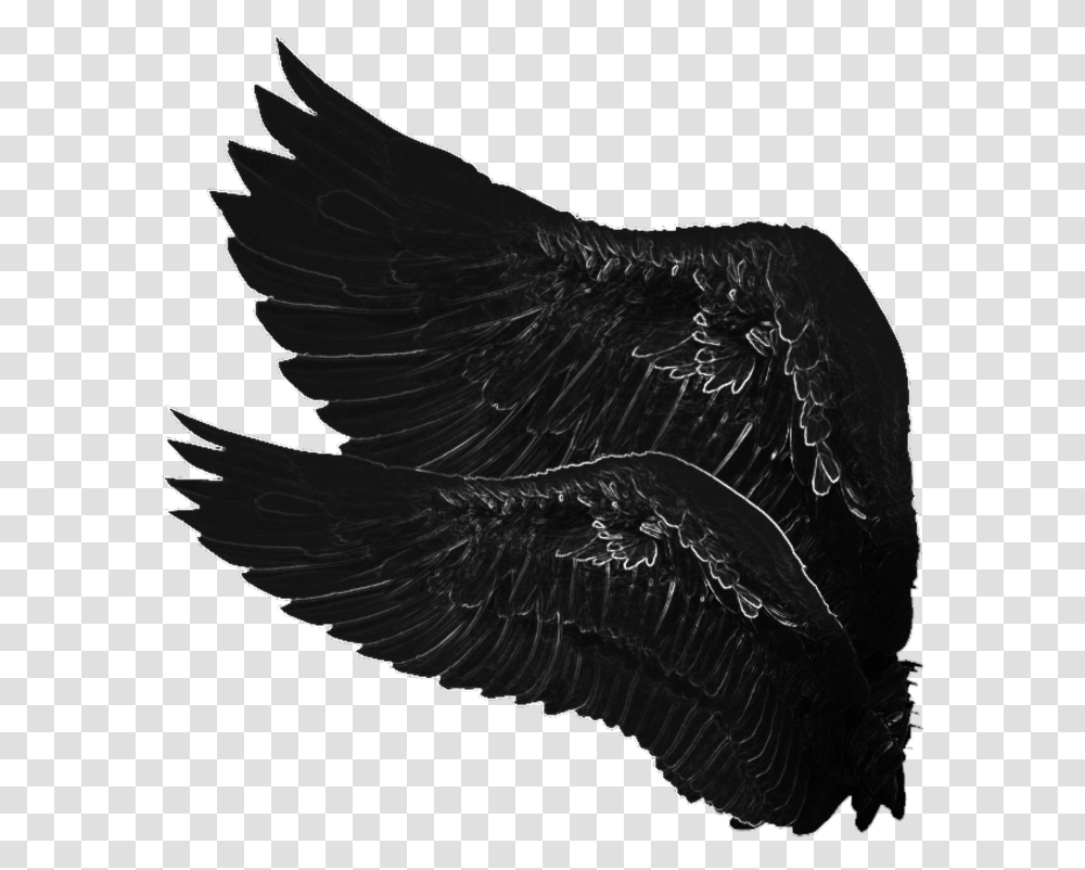 Dark Angel Wings Heartofdarkness Angelofdarkness Eagle, Bird, Animal, Chicken, Poultry Transparent Png
