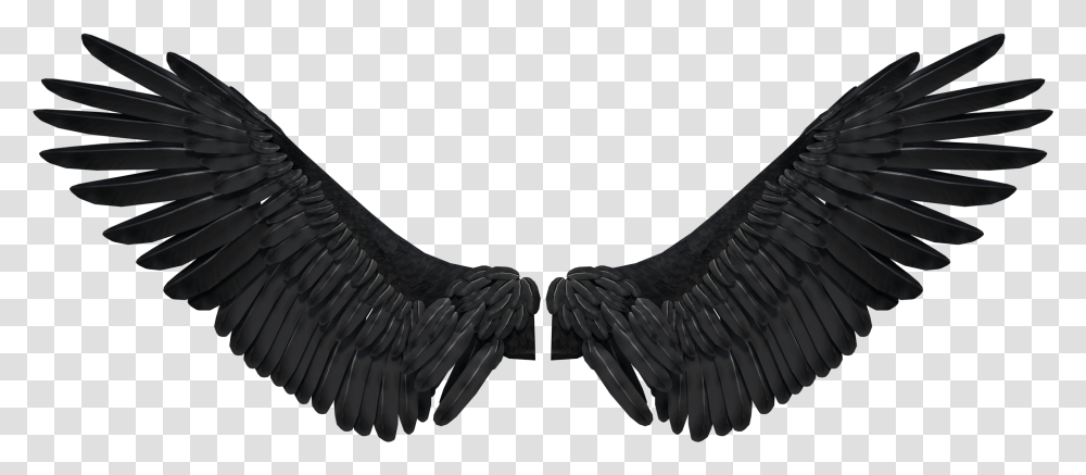 Dark Angel Wings Opening Front Language, Waterfowl, Bird, Animal, Art Transparent Png