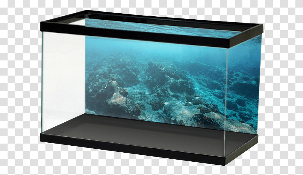 Dark Blue Reef And Water Surface Aquarium Stone Wall Background, Screen, Electronics, Monitor, Nature Transparent Png
