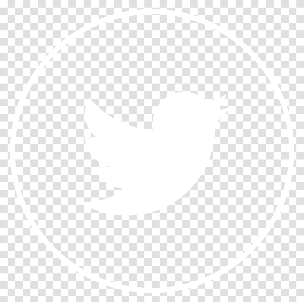 Dark Blue Twitter Logo Download Hq Twitter Logo, White, Texture, White Board Transparent Png