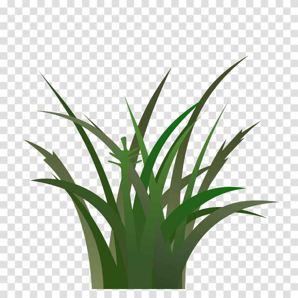 Dark Grass Icons, Plant, Produce, Food, Vegetable Transparent Png