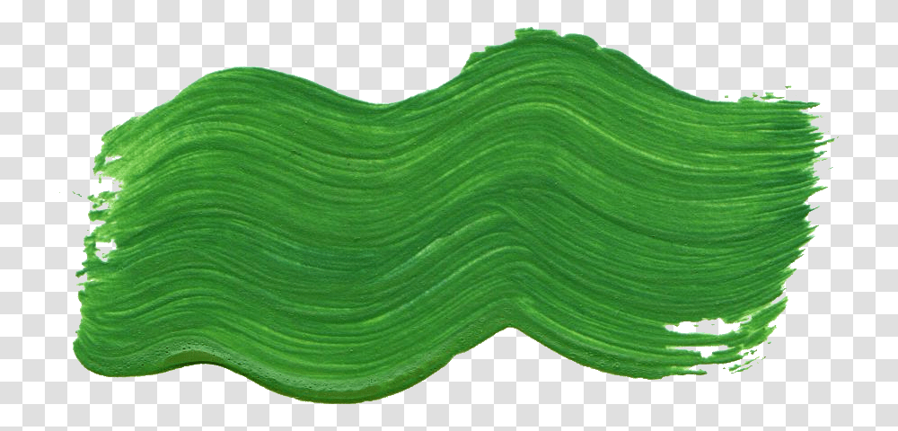 Dark Green Brush Stroke, Plant, Sweater, Grass, Vegetation Transparent Png