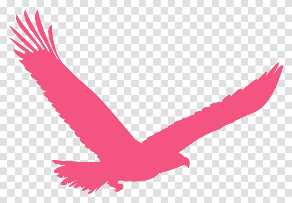 Dark Green Eagle Logo, Animal, Bird, Flying Transparent Png