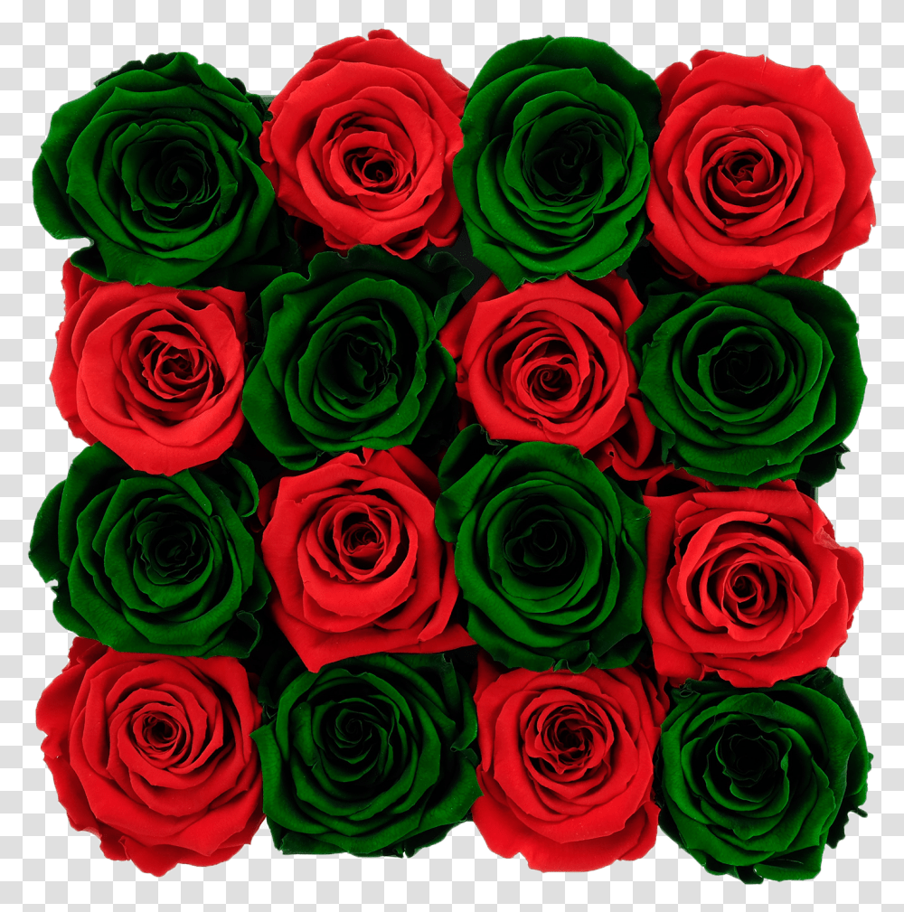 Dark Green Flowers Green Rose, Plant, Blossom, Flower Bouquet, Flower Arrangement Transparent Png