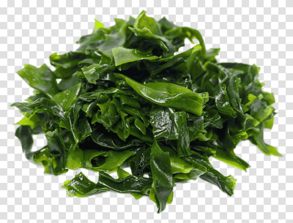Dark Green Seaweed Seaweed, Plant, Vegetable, Food, Spinach Transparent Png